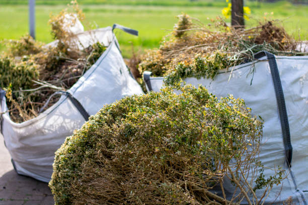Best Garage Cleanout  in Fairbank, IA